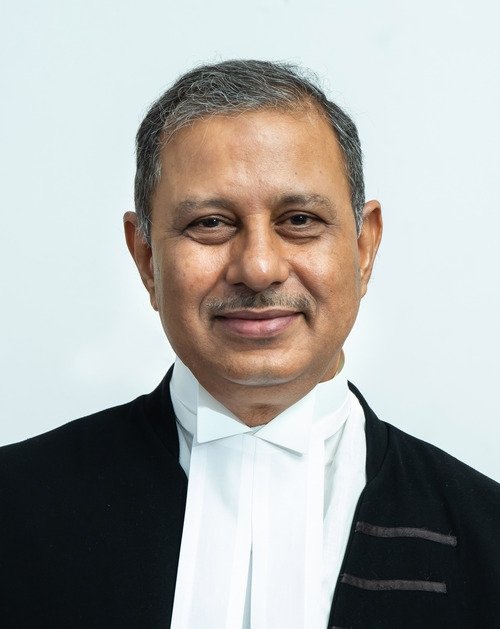 Justice Dinesh Kumar Singh