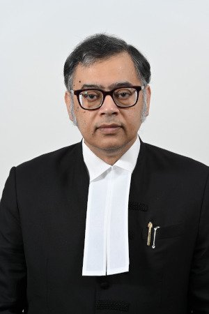 Justice Deeptendra Narayan Ray