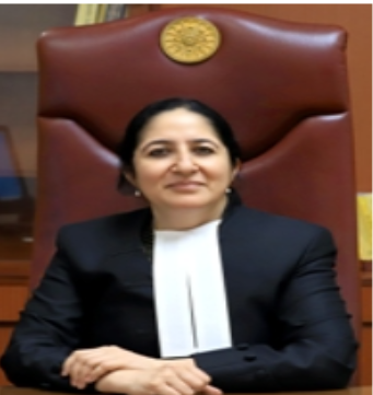 Justice Mini Pushkarna