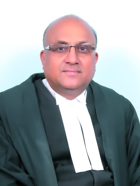 Justice Rajes Kumar