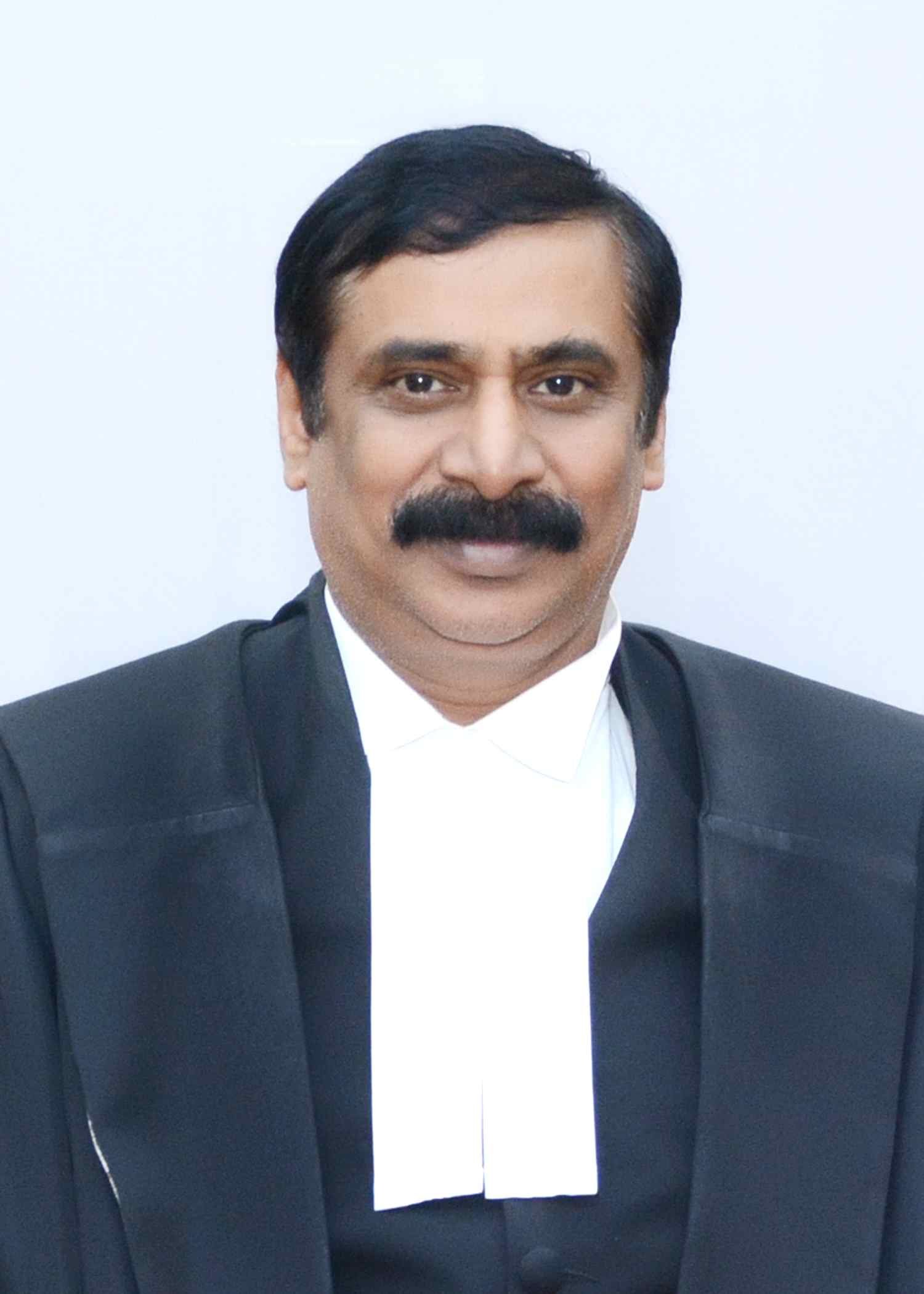 Justice Huluvadi G Ramesh