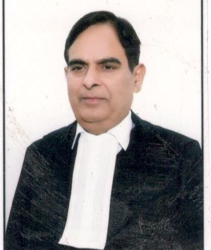 Justice Daya Shankar Tripathi